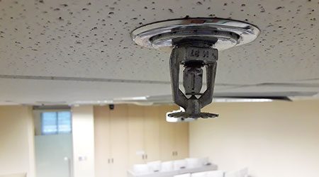 Commercial Fire Sprinkler